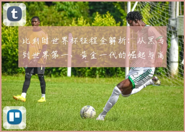比利时世界杯征程全解析:从黑马到世界第一,黄金一代的崛起与高光时刻