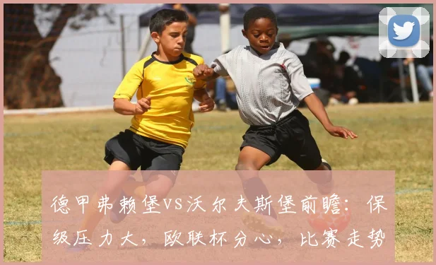 德甲弗赖堡vs沃尔夫斯堡前瞻:保级压力大,欧联杯分心,比赛走势预测与分析