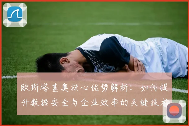 欧斯塔基奥核心优势解析：如何提升数据安全与企业效率的关键技术